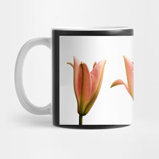 Opening Mug